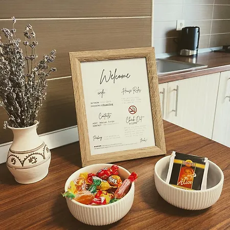 Apartament Modern With Self Check-in *