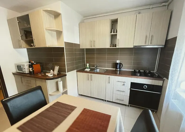 Modern With Self Check-in * Timisoara